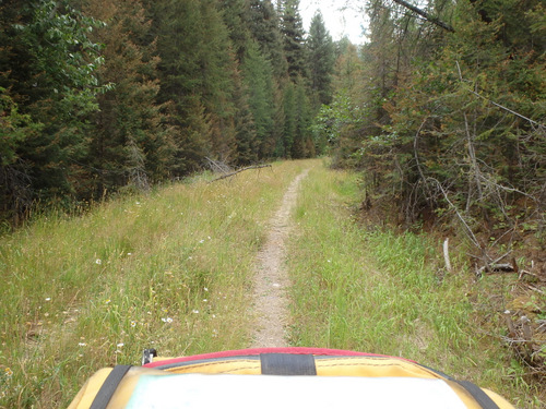 GDMBR: Our bicycle trail has slowly become a single track trail.